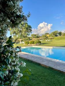 - une piscine avec une passerelle en bois à côté d'une cour dans l'établissement Agriturismo I Tre Fossi, à Magliano in Toscana