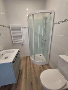 ein weißes Bad mit einer Dusche und einem WC in der Unterkunft Hotel particulier 200m2 plein centre et plage - 2 à 25 personnes in Dieppe