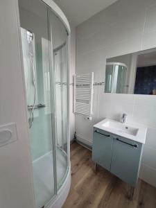 ein Bad mit einer Glasdusche und einem Waschbecken in der Unterkunft Hotel particulier 200m2 plein centre et plage - 2 à 25 personnes in Dieppe