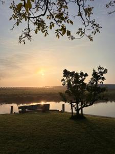 デルフトにあるHoeve BuytenHoutの木の並ぶ湖の横の公園ベンチ