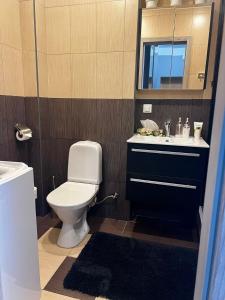 a bathroom with a toilet and a sink and a mirror at LK Apartment in Mārupe