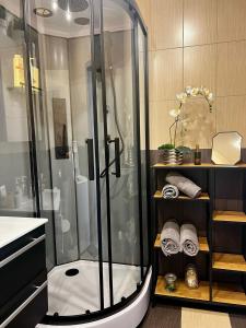y baño con ducha y lavamanos. en LK Apartment, en Mārupe