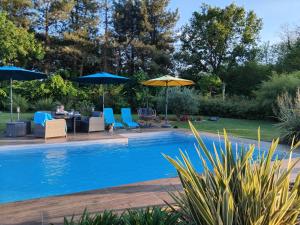 a swimming pool with chairs and umbrellas at CHAMBRE DANS UN ECRIN DE VERDURE in Angrie