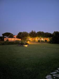une cour de nuit avec des lumières dans l'herbe dans l'établissement Agriturismo I Tre Fossi, à Magliano in Toscana