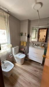 アリカンテにあるAlicante Postiguet Apartmentsのバスルーム(トイレ、洗面台、鏡付)
