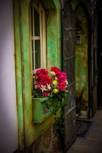 una ventana con una caja de flores con flores rojas y amarillas en Guesthouse Yildiz 2 en Sarajevo