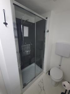 uma cabina de duche em vidro numa casa de banho com WC em MARCO'S HOUSE em Sanremo