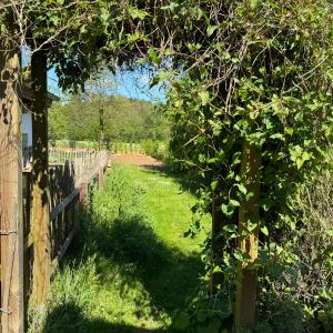 Zahrada ubytování Hinkelshof - 3 Gästezimmer - naturnah, ökologisch, urig, Selbstversorgerküche
