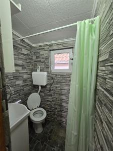 a bathroom with a toilet and a shower curtain at Dedin Konak in Golubac