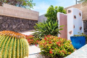 Zahrada ubytování Villa with pool in Madroñal Fañabe, Costa Adeje