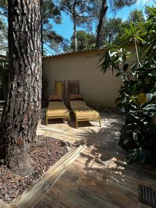 - une terrasse avec 2 lits à côté d'un arbre dans l'établissement Cabanon à Sanary sur mer au coeur de Portissol., à Sanary-sur-Mer