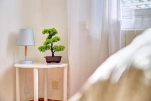 a small plant on a table next to a window at Mesón Pamplona by Clabao in Pamplona
