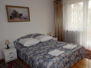 1 dormitorio con 1 cama con 2 almohadas y ventana en Hotel Poświętne, en Płońsk