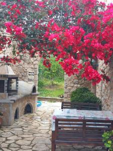 a bench sitting under a tree with red flowers at Dioni Villa in Sivota