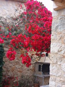 a bunch of red flowers hanging from a wall at Dioni Villa in Sivota