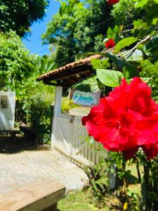 a red flower on a bush next to a building at Pousada Coco Dendê in Ilha de Boipeba