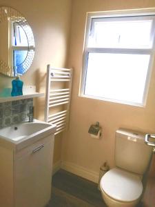 a bathroom with a toilet and a sink and a window at Delphi Cottage in Ashbourne