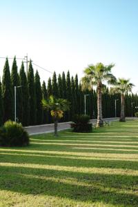 einen Park mit Palmen und einer Straße in der Unterkunft Tenuta Inagro in San Severo