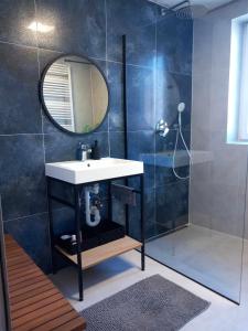 ein Bad mit einem Waschbecken, einem Spiegel und einer Dusche in der Unterkunft Penzion U školy in Staré Město