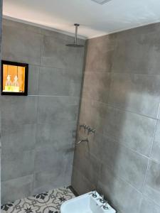a bathroom with a shower with a sink and a toilet at La Posta del Jesuita in Villa Los Aromos +38 photos