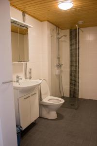 W łazience znajduje się toaleta, prysznic i umywalka. w obiekcie Aurinkolahti cosy apartment with warm parking w Helsinkach