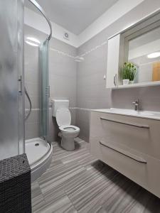 a bathroom with a toilet and a sink and a shower at Spacious 3 Bedroom Apartment 50m from Sea 2 Bathrooms 2 Terraces Near Beach in Privlaka +16 photos