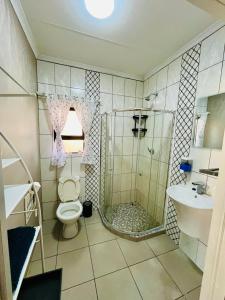 a bathroom with a shower and a toilet and a sink at Ivanka's Self-Catering Flat in Kimberley