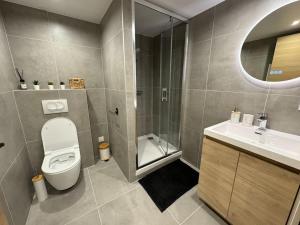 a bathroom with a toilet and a shower and a sink at Allée Royale in Annecy +6 photos
