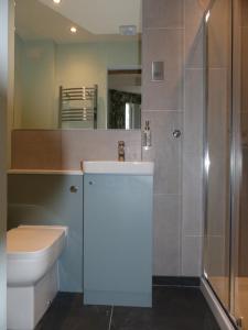 a bathroom with a toilet and a sink and a shower at Hamilton Court Hotel in Chester