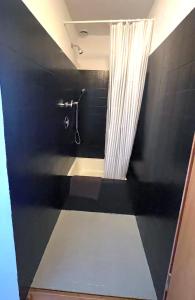 a bathroom with a shower with a shower curtain at Bodea Alpenblick in Rickenbach