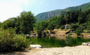 a river with trees and a mountain in the background at Gîte Ô près Ô in La Souche