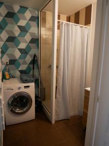 een wasmachine in een badkamer met een douche bij charmant T2 formiguères les esplaneilles in Formiguères