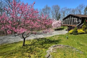 Gallery image of Woodland Whimsy a private escape, hot tub, pool, sunroom in Saugerties