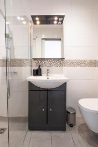 ein Badezimmer mit Waschbecken, Spiegel und Toilette in der Unterkunft Studio centre Cannes in Cannes