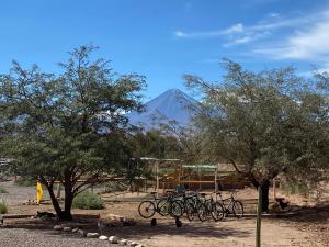 Cabañas Voyage Atacama في سان بيدرو دي أتاكاما: مجموعة من الدراجات متوقفة بجوار بعض الأشجار