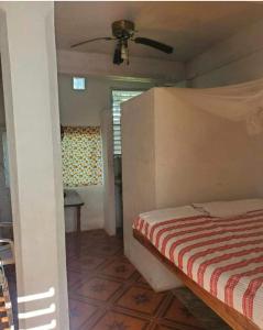 a bedroom with a bed and a ceiling fan at Schmidt’s Natures Way Guesthouse in Punta Gorda