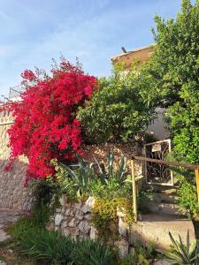 un jardin avec des fleurs rouges et un mur en pierre dans l'établissement SunnyDay House, à Masline