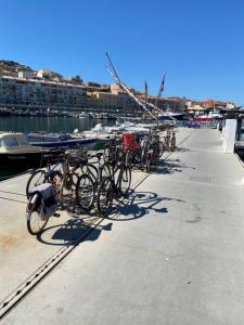 una fila di biciclette parcheggiate su un molo vicino all'acqua di Nuitée à bord de Danilou un voilier de 9.50m a Sète