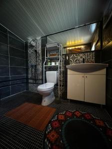 a bathroom with a toilet and a bath tub at ECO cabin Plivsko jezero Jajce in Jajce