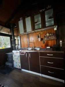 een keuken met een fornuis en een wastafel bij ECO cabin Plivsko jezero Jajce in Jajce