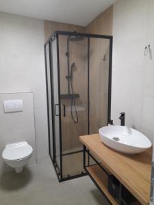 Koupelna v ubytování Apartments Borić