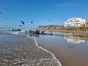 a group of people on the beach with birds flying at Hotel Ola Bella in San Clemente