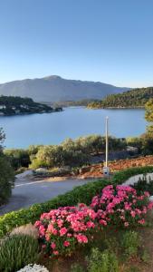 a view of a body of water with pink flowers at Studio apartman Kornelija in Lumbarda +17 photos