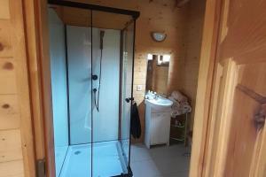 KarsibórにあるHoliday homes for 7 people in winouj cieのバスルーム(ガラス張りのシャワー、シンク付)