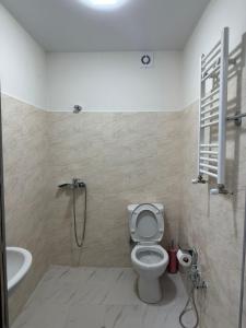 y baño con aseo, ducha y lavamanos. en Dalida Hotel, en Tiflis