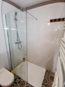 uma cabina de duche com WC na casa de banho em L'ANNÉCIEN - Centre-ville Netflix Wifi Disney+ em Annecy