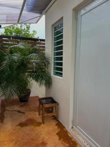 a bench next to a wall with a window and a plant at Casa Cecilia PR in San Juan