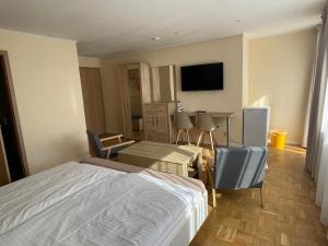 TV a/nebo společenská místnost v ubytování Hotel Andrea