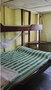 an empty bunk bed in a room at Schmidt’s Natures Way Guesthouse in Punta Gorda