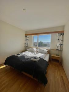 sypialnia z dużym łóżkiem i dużym oknem w obiekcie Vökuholt Lodge w mieście Laxamýri